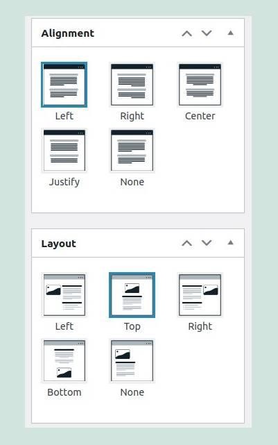 alignment option